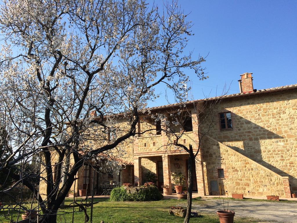 Agriturismo Podere San Gregorio Pienza Ngoại thất bức ảnh