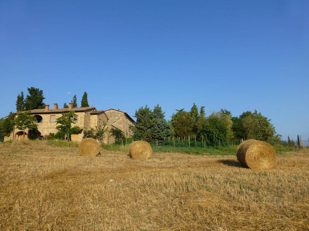 Agriturismo Podere San Gregorio Pienza Ngoại thất bức ảnh